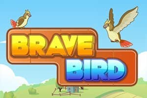 bravebird300200